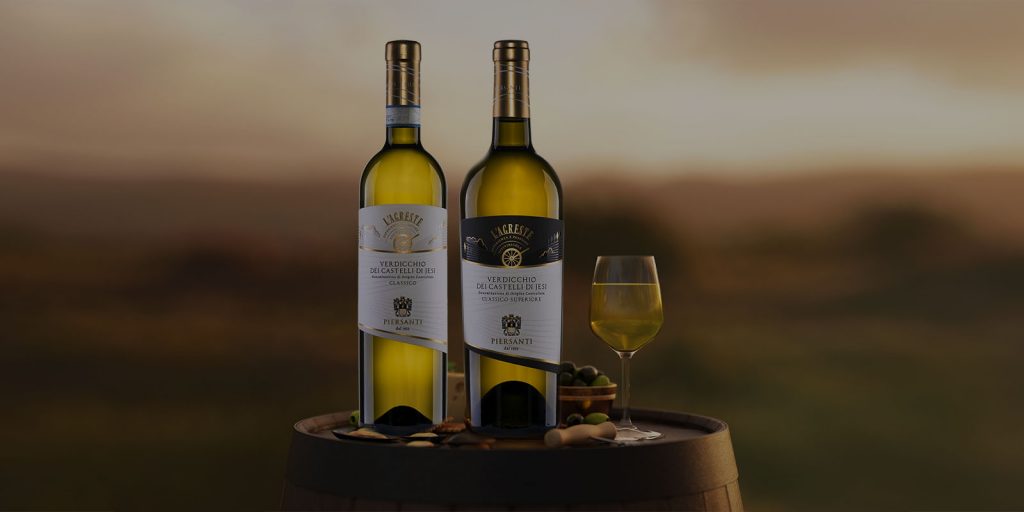 Scopri i nostri vini
